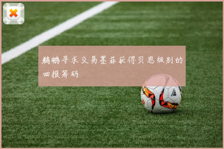 鹈鹕寻求交易墨菲获得贝恩级别的回报筹码