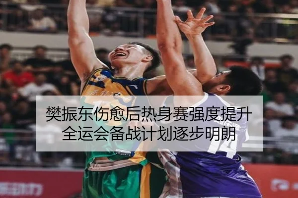 樊振东伤愈后热身赛强度提升 全运会备战计划逐步明朗 - BOYUSPORTS